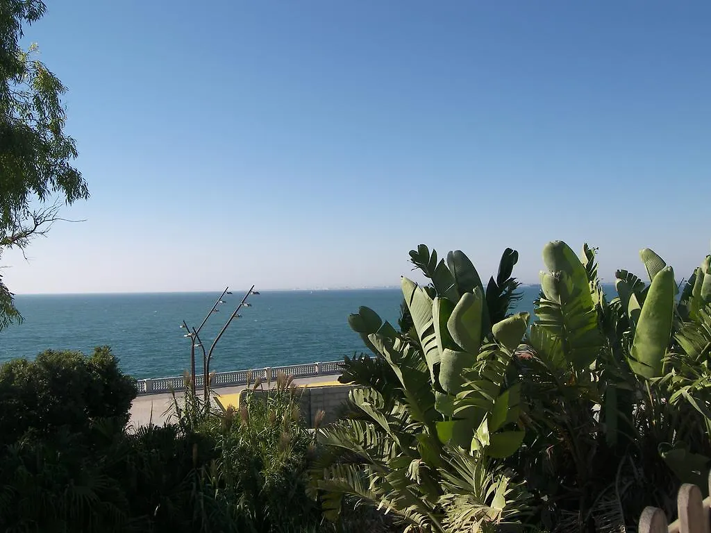 Atico 19 Dias Y Muchas Noches Apartment Cadiz Spain